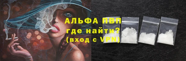 прущие грибы Белокуриха