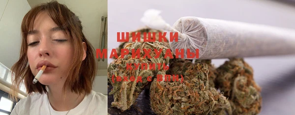 сатива Баксан