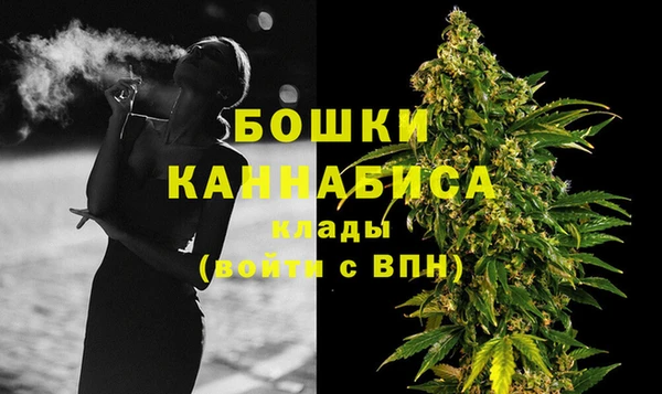 прущие грибы Белокуриха