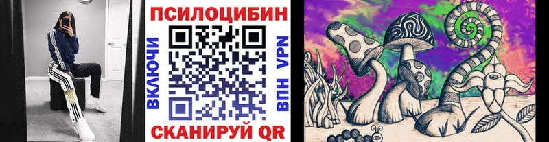 Псилоцибиновые грибы ЛСД  kraken tor  Кунгур  shop как зайти  где найти  